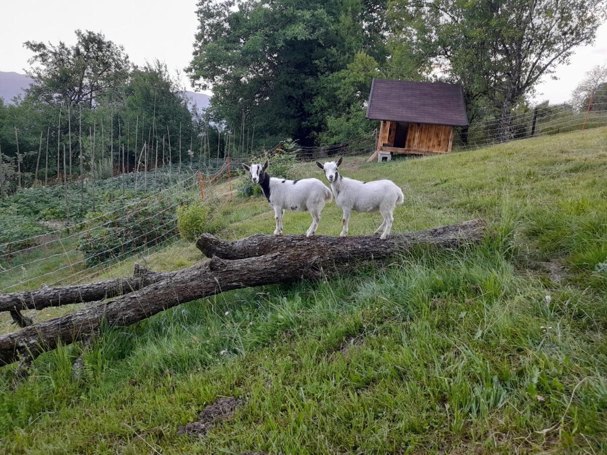 Apartmaji Gorenc Bled Buitenkant foto